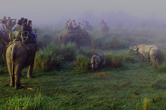 1467720168_0Kaziranga 1.jpg